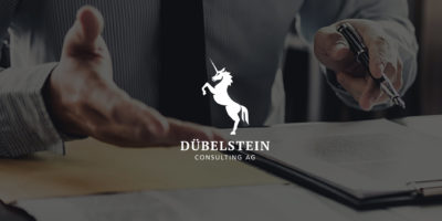 Webseite – Dübelstein Consulting AG